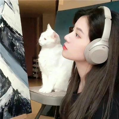 绵羊侦探团